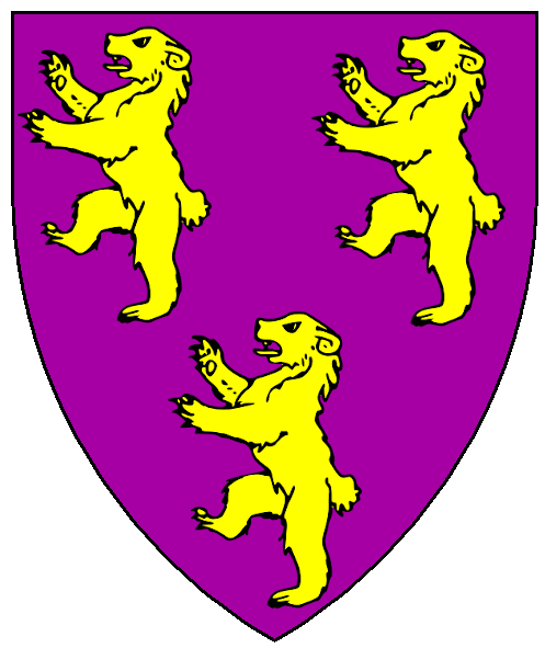 Arms of Mikael Bjarki